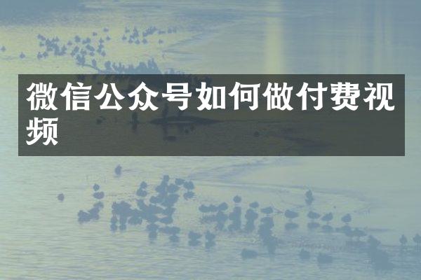 微信公众号如何做付费视频