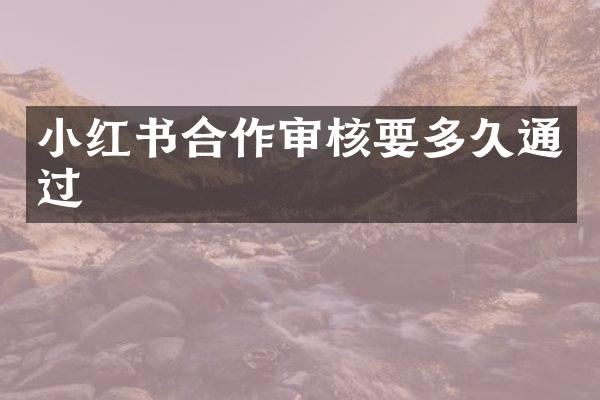 小红书合作审核要多久通过