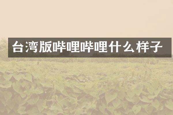 台湾版哔哩哔哩什么样子
