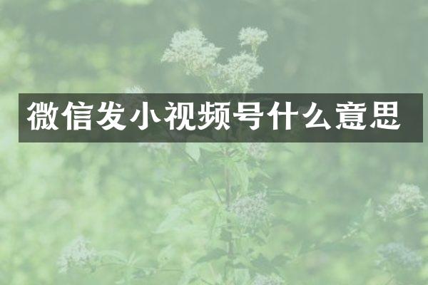 微信发小视频号什么意思