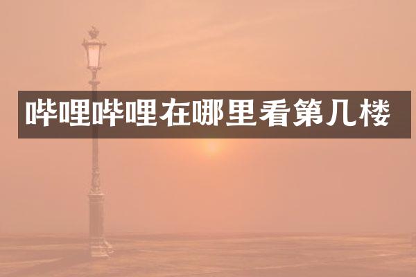 哔哩哔哩在哪里看第几楼