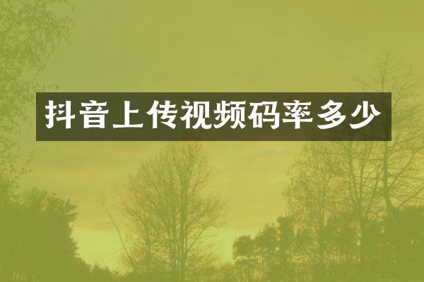 抖音上传视频码率多少