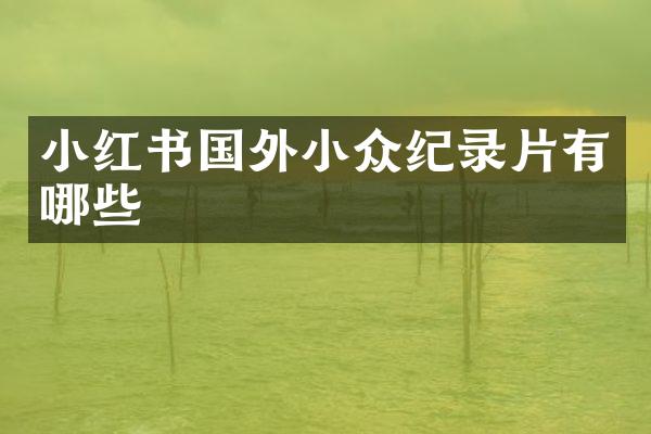 小红书国外小众纪录片有哪些