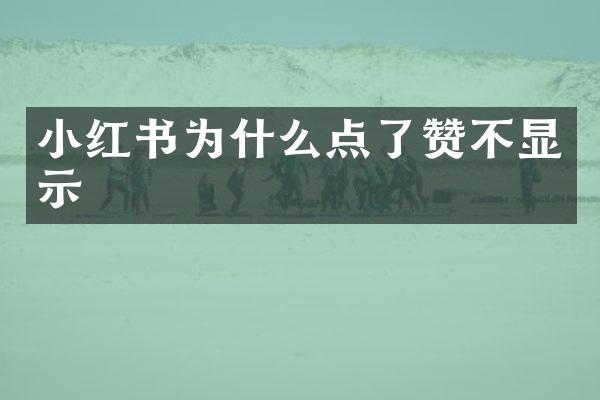 小红书为什么点了赞不显示