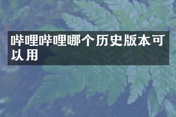 哔哩哔哩哪个历史版本可以用