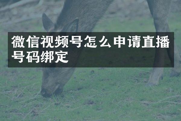 微信视频号怎么申请直播号码绑定