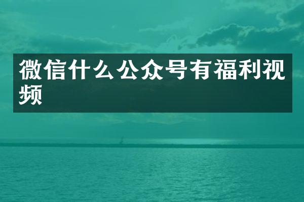 微信什么公众号有福利视频