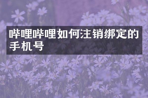 哔哩哔哩如何注销绑定的手机号