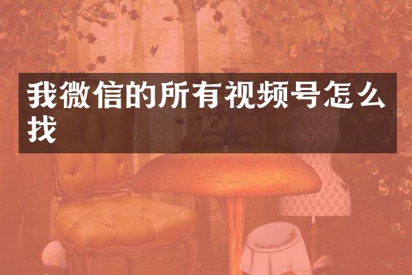 我微信的所有视频号怎么找