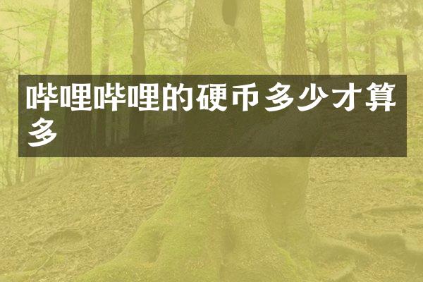 哔哩哔哩的硬币多少才算多