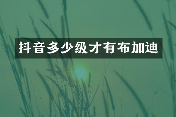 抖音多少级才有布加迪