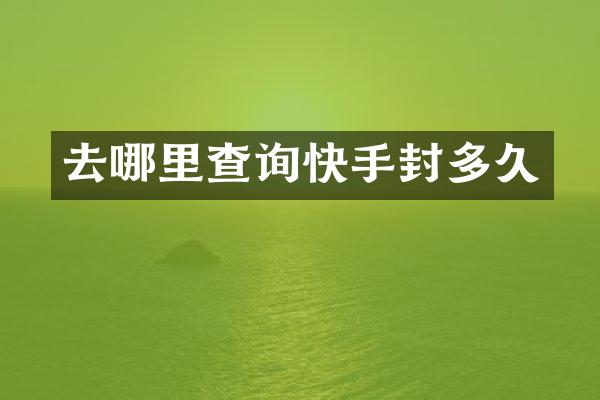 去哪里查询快手封多久