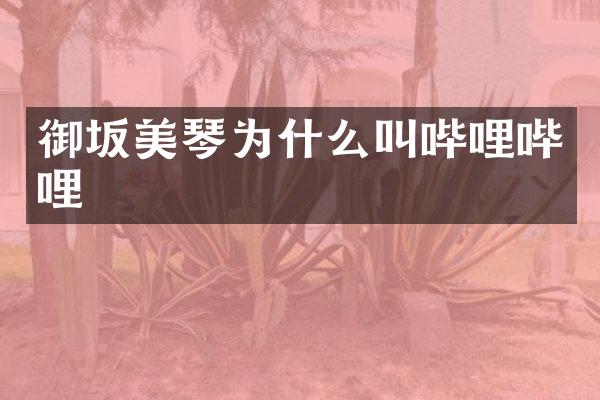 御坂美琴为什么叫哔哩哔哩