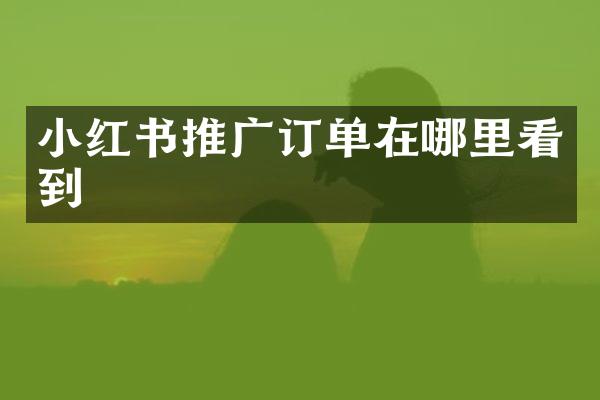 小红书推广订单在哪里看到