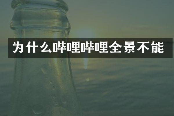 为什么哔哩哔哩全景不能