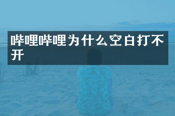 哔哩哔哩为什么空白打不开