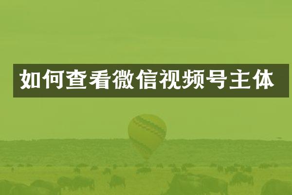 如何查看微信视频号主体