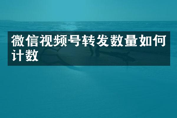 微信视频号转发数量如何计数