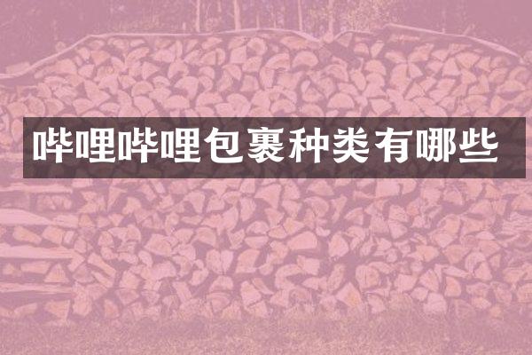 哔哩哔哩包裹种类有哪些