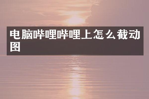 电脑哔哩哔哩上怎么截动图