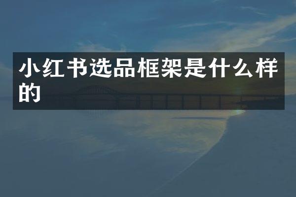小红书选品框架是什么样的