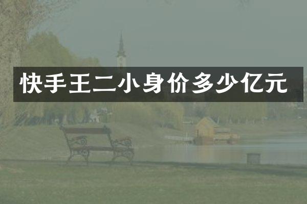 快手王二小身价多少亿元