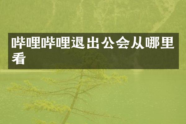 哔哩哔哩退出公会从哪里看