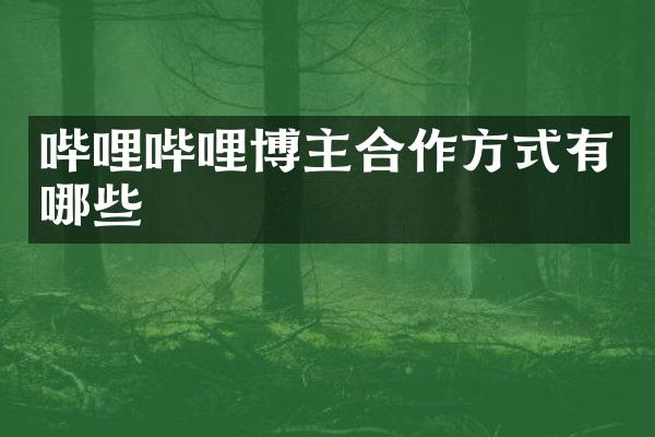 哔哩哔哩博主合作方式有哪些