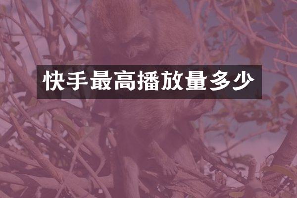 快手最高播放量多少