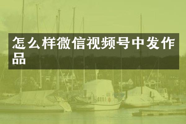 怎么样微信视频号中发作品