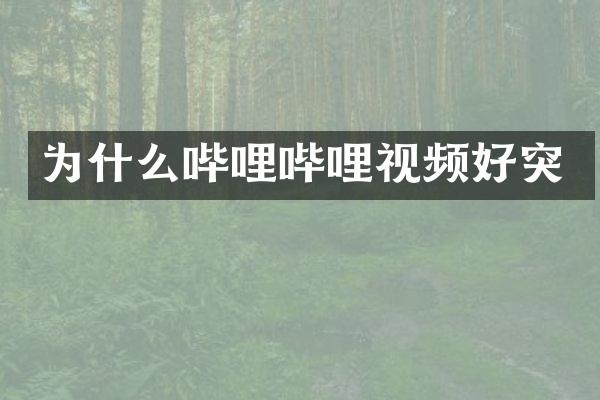 为什么哔哩哔哩视频好突