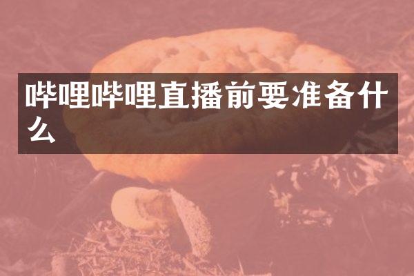 哔哩哔哩直播前要准备什么