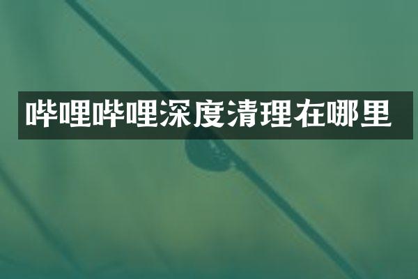 哔哩哔哩深度清理在哪里