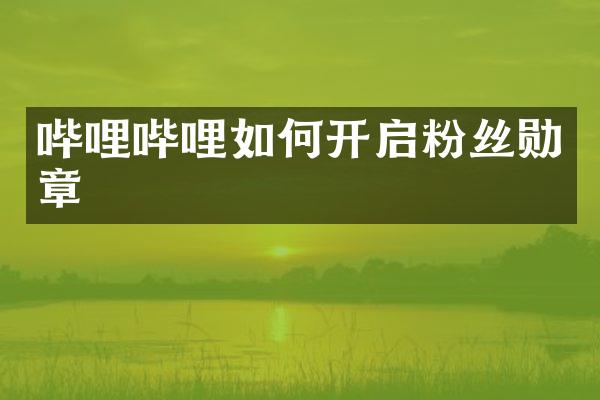 哔哩哔哩如何开启粉丝勋章