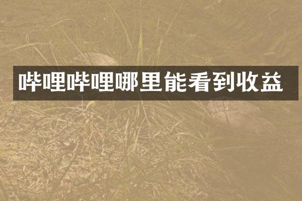 哔哩哔哩哪里能看到收益