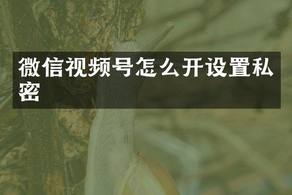 微信视频号怎么开设置私密