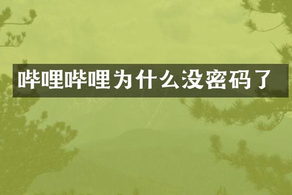 哔哩哔哩为什么没密码了