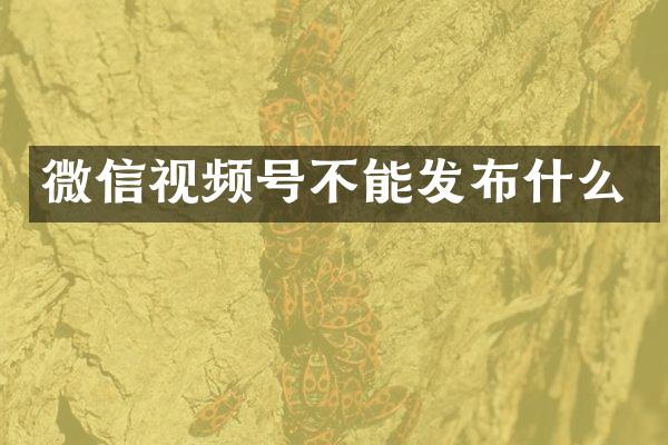 微信视频号不能发布什么