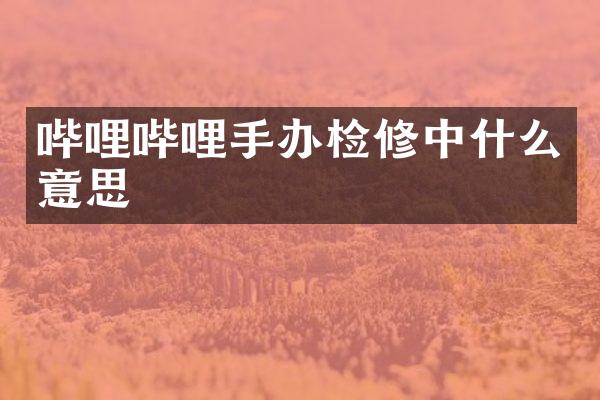 哔哩哔哩手办检修中什么意思