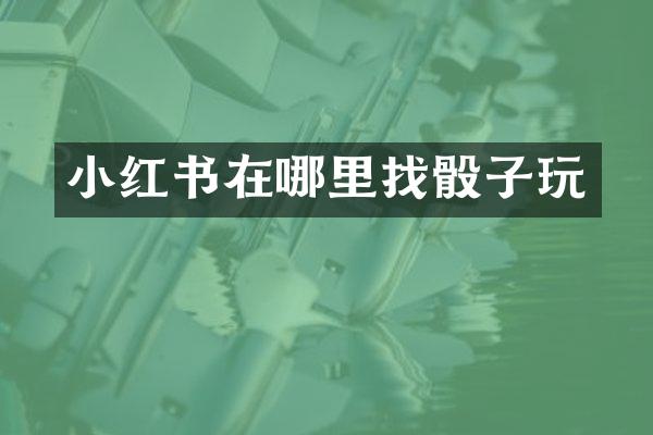小红书在哪里找骰子玩