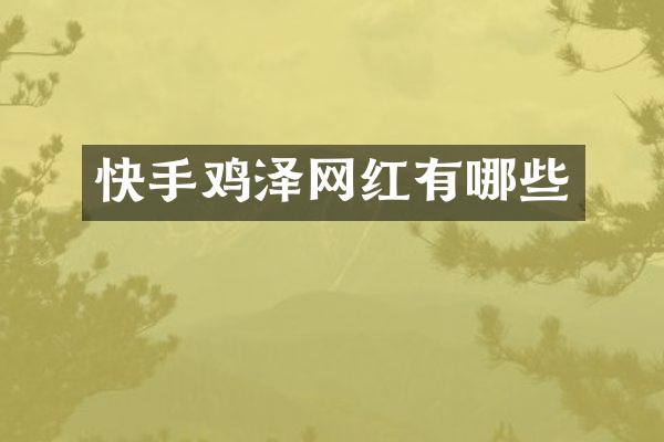 快手鸡泽网红有哪些