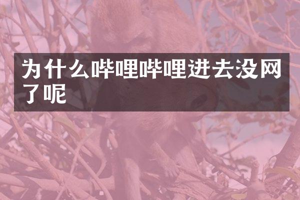 为什么哔哩哔哩进去没网了呢