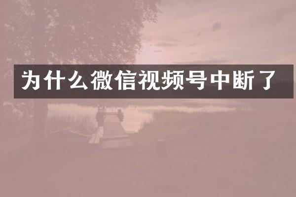 为什么微信视频号中断了