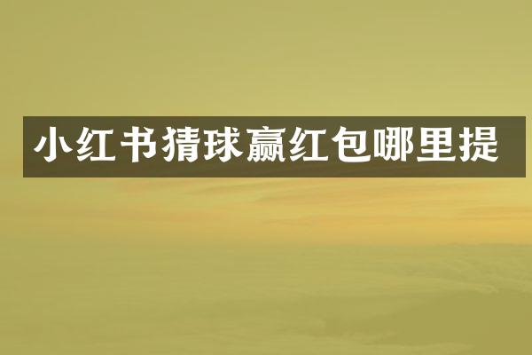 小红书猜球赢红包哪里提