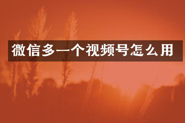 微信多一个视频号怎么用