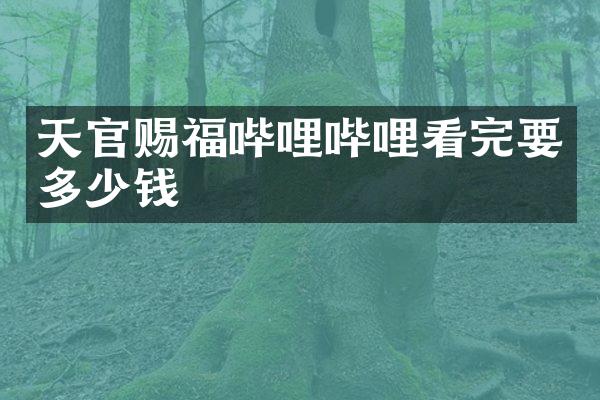 天官赐福哔哩哔哩看完要多少钱