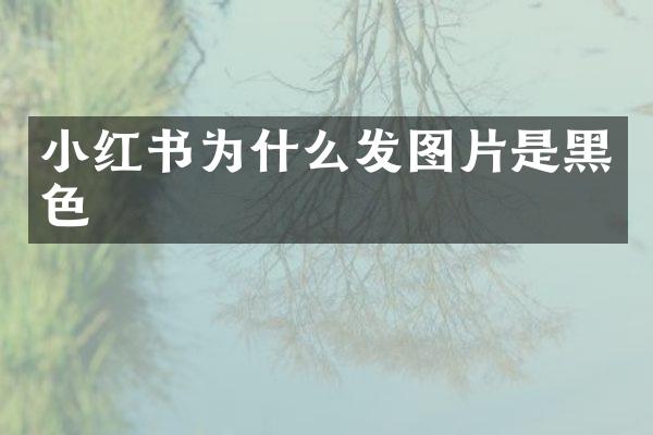 小红书为什么发图片是黑色