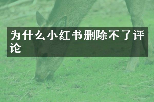 为什么小红书删除不了评论