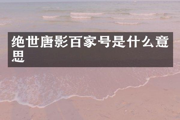 绝世唐影百家号是什么意思