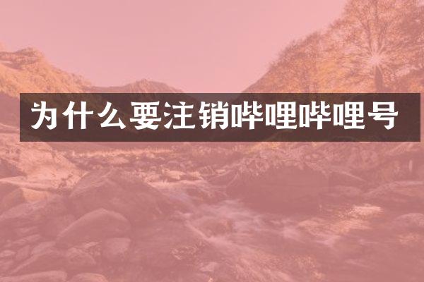 为什么要注销哔哩哔哩号